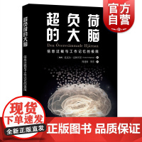超负荷的大脑/信息过载与工作记忆的极限 托克尔克林贝里当代科普名著系列读物脑科学神经科学爱好者周建国 上海科技教育出版社