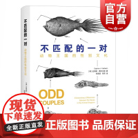 不匹配的一对:动物王国的性别文化 自然史科普上海文化出版社