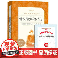 钢铁是怎样炼成的+导读 共2册