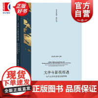 文学与影视相遇 当代文学的影视改变策略 文学与传媒系列丛书徐兆寿杨华主编上海人民出版社电影文学文学改编电影文学改编影视传