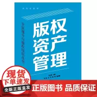 版权资产管理 文化媒介与版权经济丛书王红英主编基立足版权资产管理概念实践厘清版权资产管理实务