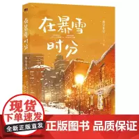 在暴雪时分 实体小说书 墨宝非宝 吴磊赵今麦主演同名电视剧原著小说 蜜汁炖鱿鱼作者书籍正版