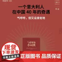 气呼呼的小词典 陈丹青 余华推重的意大利摄影家老安著 单读55 以中文书写在中国40年的奇遇 另著有摄影集稍息1981—