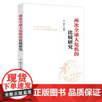 两次全球大危机的比较研究 经济学原理金融书籍 中国新经济政策的风向标 经济发展理论的十位大师 学通识 书籍