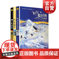 黑夜女王/风雪那年/飞跃喜马拉雅 生命传奇系列长篇小说 少年儿童出版社