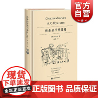 普希金抒情诗选 俄罗斯诗歌的太阳 开启了俄罗斯文学的大门 冯春 译 上海译文出版社