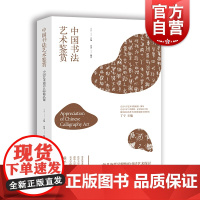 中国书法艺术鉴赏 中国艺术通识名师精品课高译著中国书法艺术哲学历代书法大师原文作品名著鉴赏 书法理论书籍上海人民美术出版