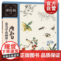 陆抑非花鸟草虫画谱 第2版名家课徒稿临本绘画大师精选范画学习临摹教程上海人民美术出版社学经典技法临大师国画