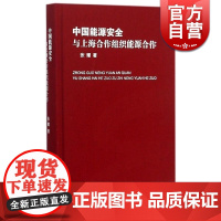 中国能源安全 与上海合作组织能源合作 张耀著 中国经济 自然科学技术 正版图书籍 上海辞书 世纪出版