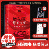 悍妇女巫和她的故事 沙鲁克 沙鲁克侯赛因编 新星出版社