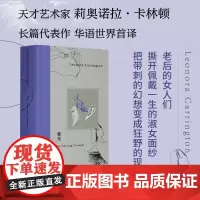 魔角 莉奥诺拉·卡林顿长篇代表作 作者之子手绘插图 极简素描还原小说场景 广西师范大学出版社