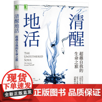 清醒地活: 自我的生命之旅 正念 冥想 臣服实验 活着 迈克-A辛格 清醒 觉察 自我 平和 喜悦 幸福 自我心理学书