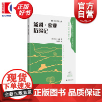 汤姆索亚历险记 译文学生文库 马克吐温著课外阅读优秀读本上海译文出版社外国小说世界名著近代经典文学