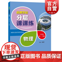 名牌学校分层课课练物理九年级第一二学期 初三9年级上下册同步训练配套上海物理教材使用课后AB卷练习辅导用书上海科技教育出
