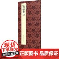 张猛龙碑 北魏楷书代表作高清原碑帖+近距离临摹可平摊毛笔书法字帖楷书初学者临摹教材范本基础教程 正版名品中国历代碑帖丛刊