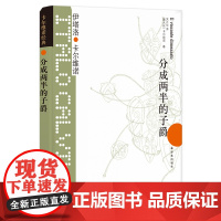 卡尔维诺经典:分成两半的子爵