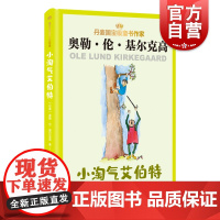 小淘气艾伯特 丹麦儿童文学大师基尔克高作品精选同名电影原著文学 百班千人43期 上海译文出版社外国小说