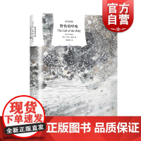 野性的呼唤 硬汉作家杰克伦敦精美插图中篇小说/译文经典/外国文学动物题材另著马丁伊登/空前绝后的入侵/白牙上海译文出版社