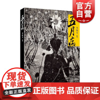 五月病 黄佩华 上海文艺出版社