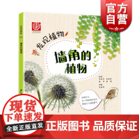 墙角的植物 发现植物 科普读物 植物百科 少年儿童出版社