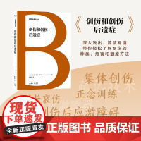 创伤和创伤后遗症 [德]安德烈亚斯·梅尔克 著 上海三联书店