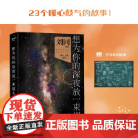 想为你的深夜放一束烟火 刘同新书暗处亦有光亮 深夜亦可疗伤 23个故事 果麦文化