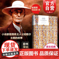 荒原狼 正版 赫尔曼黑塞著精装版德米安彷徨少年时同作外国小说文学作品集书籍世界经典名著 上海译文出版社