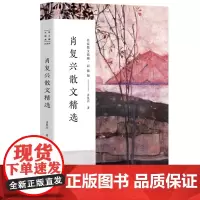 肖复兴散文精选 正版散文集 名家散文典藏收录那片绿绿的爬山虎手绘插图现当代文学散文精选集名家作品长江文艺出版社