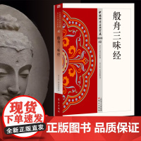 般舟三昧经 中国佛学经典宝藏 星云大师总监修 白话精华大藏经 佛学读物