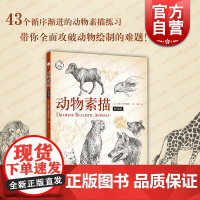 动物素描 版动物画练习示范道格林德斯特兰著作上海人民美术出版社绘画艺术绘制技法素描诀窍