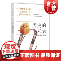 历史的兴衰 图像里的中国 历史文化 上海科学技术文献出版社