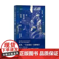 在湮没的历史中微笑柬埔寨吴哥访古 张炜晨江苏凤凰文艺出版社