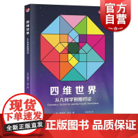 四维世界从几何学到相对论砺智石丛书系列物理学插图丰富通俗易懂非欧几何学四维几何狭义相对论哥德尔时间旅行上海科学技术出版社