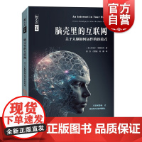 脑壳里的互联网 关于人脑如何运作的新范式哲人石系列丹尼尔格雷厄姆著脑科学人工智能计算机科学上海科技教育出版社当代科普名著