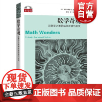数学奇观 数学桥系列培养数学思维与数学能力上海科技教育出版社