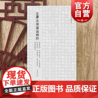 北齐北周墓志精粹 北朝墓志精粹高岳墓志长孙彦墓志王令嬀墓志宋休墓志邢法墓志崔宣靖墓志崔宣默墓志上海书画出版社毛笔书法篆刻