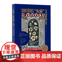 女巫 不可战胜的女性 莫娜·肖莱 三种不同类型的女性人生 为女性提供了更多的人生可能性 女性主义厌女始于极限女性励志