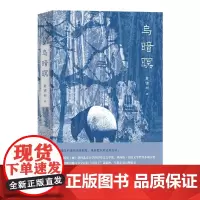 乌暗暝 黄锦树 上海文艺出版社