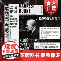 至暗时刻 力挽狂澜的丘吉尔 安东尼麦卡滕 温斯顿丘吉尔 历史 电影原著小说 欧洲史 上海译文出版社
