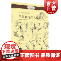手足素描与人体解剖 西方绘画技法经典教程 上海书画出版社