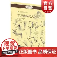 手足素描与人体解剖 西方绘画技法经典教程 上海书画出版社