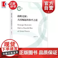 战略克制大国崛起的和平之道 赵懿黑上海人民出版社国际关系大国政治国际政治