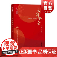 大国安全 中国系列丛书吴强编上海教育出版社大国崛起与周边外交反恐国家安全 军事安全经济安全文化安全网络安全 政治制度史