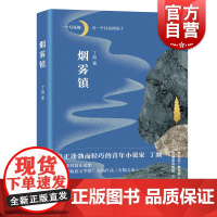 烟雾镇 丁颜著蓬勃而轻巧的90后青年小说家上海文艺出版社 中短篇小说集收录收获文学榜作品有粮之家边城藏地的故事背景