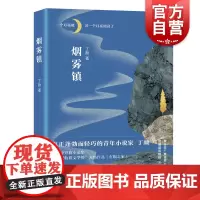 烟雾镇 丁颜著蓬勃而轻巧的90后青年小说家上海文艺出版社 中短篇小说集收录收获文学榜作品有粮之家边城藏地的故事背景