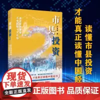 市县投资2 政府投资基金与全国统一大市场 投资新视界丛书 于智超著上海远东出版社县域经济精准定位市县投资方向更好服务国家