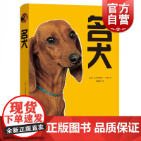 名犬 [法] 克里斯特尔·马泰 著 邓毓珂 译 上海文化出版社