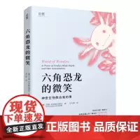 六角恐龙的微笑