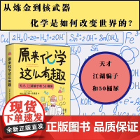 原来化学这么有趣 埃文德·托格森著 一部现代化学简史 也是一本让你爱上化学的趣味读物 博集天卷