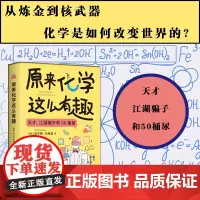 原来化学这么有趣 埃文德·托格森著 一部现代化学简史 也是一本让你爱上化学的趣味读物 博集天卷